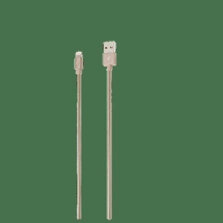 TARGUS Istore Lightning Sync/Chrg Cable/Gold ACC99407CAI